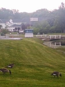 view of the grounds at Anabranch Recovery Center - Terre Haute Drug and Alcohol Addiction Treatment Center and Detox Services