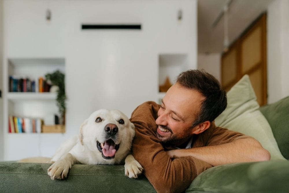A man and his dog are comfortably lying together on a couch, enjoying a moment of relaxation.